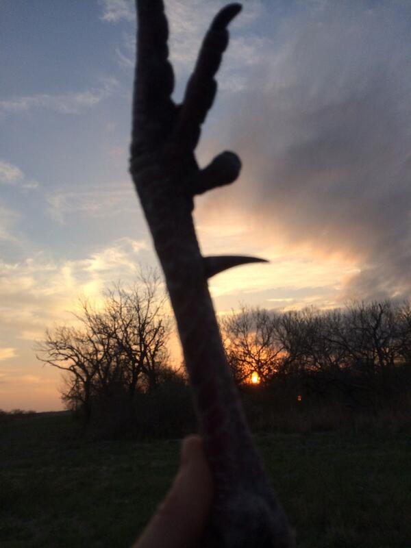 Mayorofsc's tweet image. #geturtoms #notsc