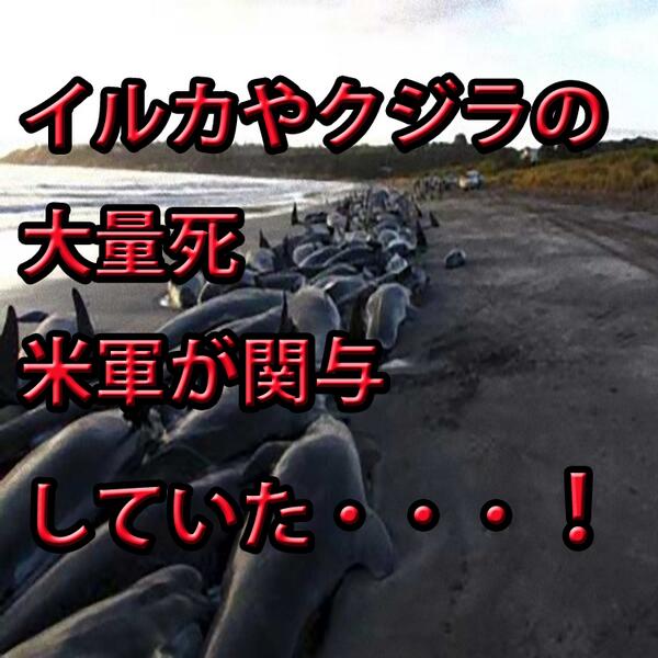 大人の豆知識 Otonanotisiki Twitter