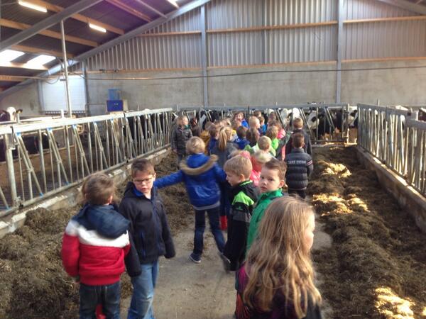 OBSdeBosrank's tweet image. Groep 4 was vanmorgen op bezoek op de boerderij van de Fam. Bouwknegt. #koeien #kalfjes #melkrobot