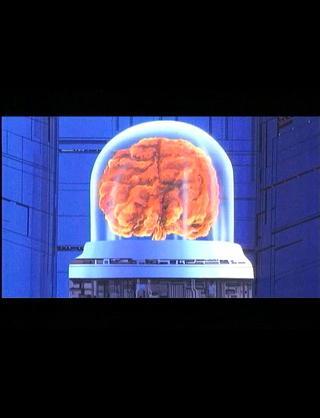 つき マモーの脳みそでけえ Http T Co Dvgagbjv