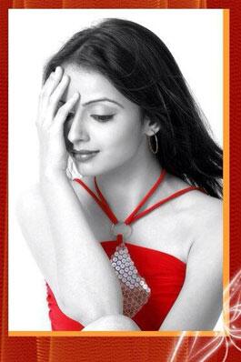 sspnvt's tweet photo. beauty of the beauties ........... @ipkknd2rus @IPK_EkBaarPhir @ASHLOK_IPKKND2 @_ipkknd_2 http://t.co/I8eqW9mg05
