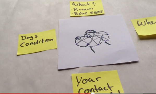 CrowdDogs's tweet image. How to Crowd Map a Stray Dog -&amp;gt; Check out Video buff.ly/1mxXYUu #doglover