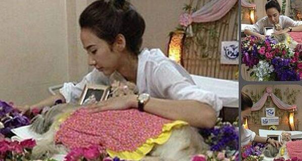 LinkerWebLink's tweet image. “อั้ม พัชราภา“ ลาก่อนน้องการ์ตูน จัดงานศพส่งวิญญาณ news.springnewstv.tv/45662 http://t.co/KL7GjtFl0T" #อั้ม