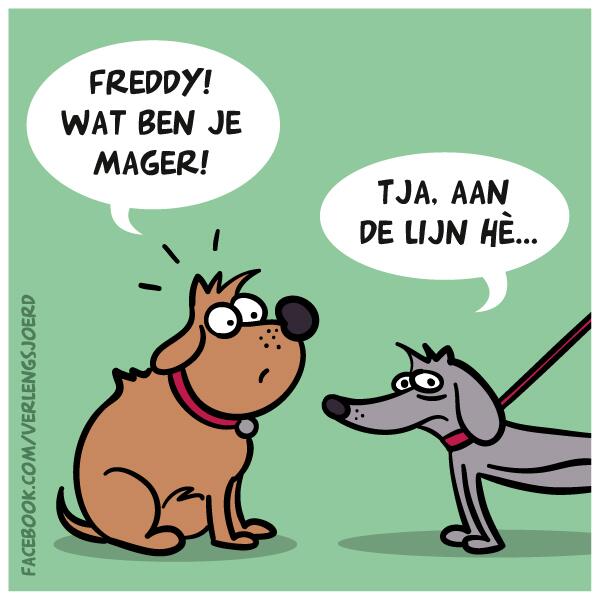 Freddy wat ben je mager! #cartoon #verlengsjoerd