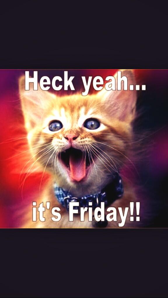 servflow's tweet photo. @BraveMediaIE #TGIF http://t.co/cRHgHv4FmT