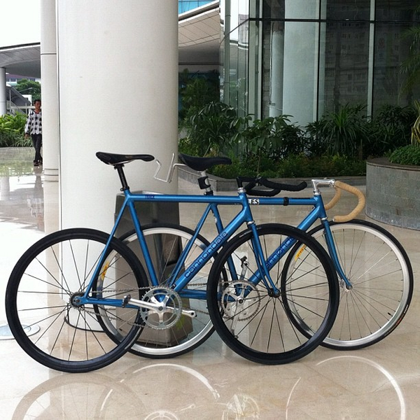 Fixed Forward tweet media