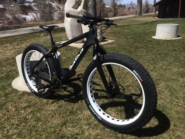2013 salsa beargrease