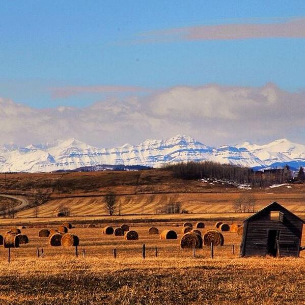 Does it get much more Alberta than this?  | Photo by @lisaannwilton #explorealberta