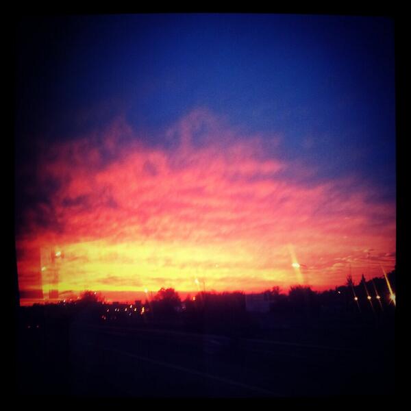 sofsuarezs's tweet image. Algún Dios está inspirado