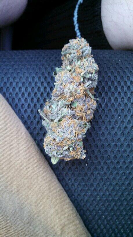 i_LikeWeedDaily tweet picture