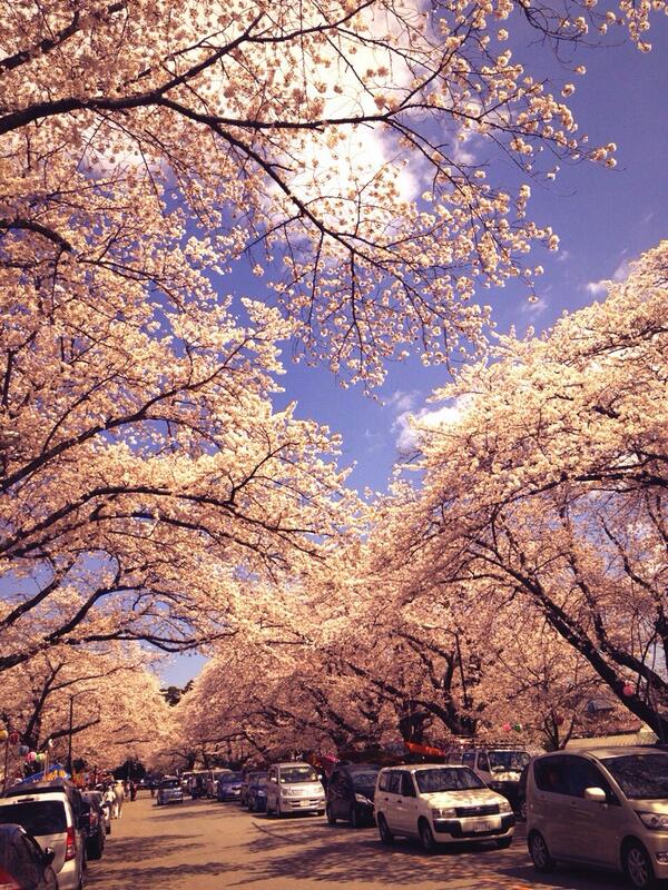 おはようございます♪
今日も天気が良いですね☻！
そろそろ関東は桜も散り始めてきて、本格的に春の陽気になるんでしょうね♪今日も一日笑顔でお仕事頑張りたいと思います☻
みなさまも素敵な一日になりますように。。♪