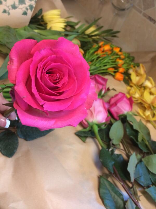 TweetweetAK's tweet image. Look at this monster rose. Today is a good day. #springy