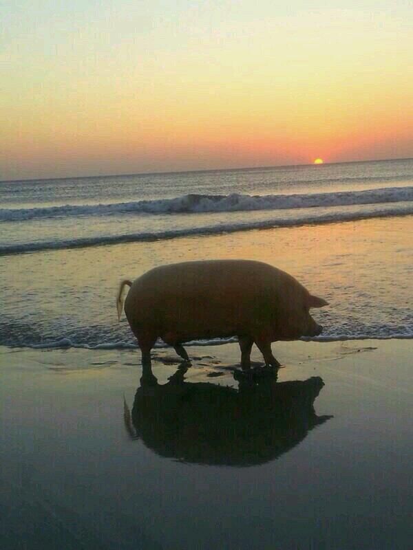 Una foto mía en la playa este verano.