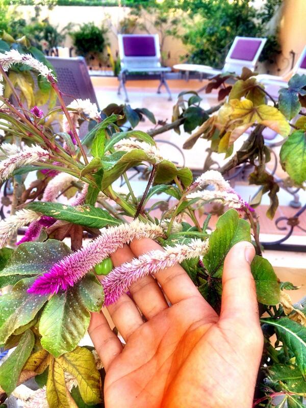 T123's tweet image. 📒📝📄📑📨📥📬📕📌📘📎✏️📒

طريقة عجيبة⚡️ و سهله 🌈 لحفظ القرآن :-- 

safeshare.tv/w/YTJZaSYsZU