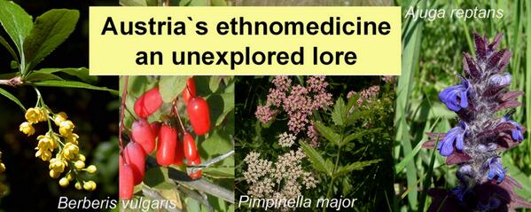 _atanas_'s tweet image. #Europe #TraditionalMedicine : new #research on anti- #inflammatory  #Austria #herbal #drugs researchgate.net/publication/23…