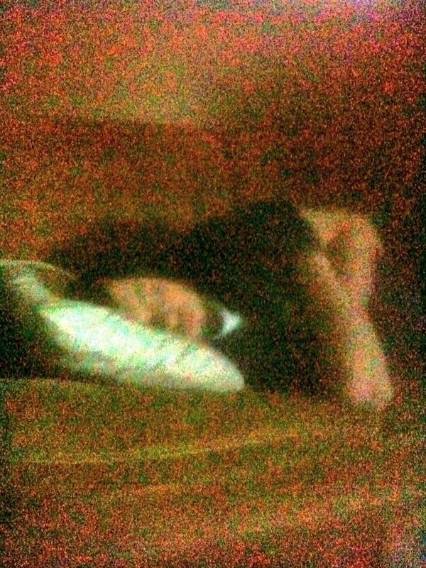 toputitoutthere's tweet photo. @phil_letarte  I can't sleep so I'm just creepin scussy fresh over here http://t.co/RxBE2coHqg