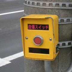 bot30721 tweet picture