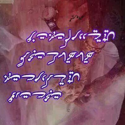 awais razza (@awaisrazza) on Twitter photo 
