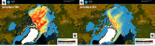 WWF ArkGIS tweet media