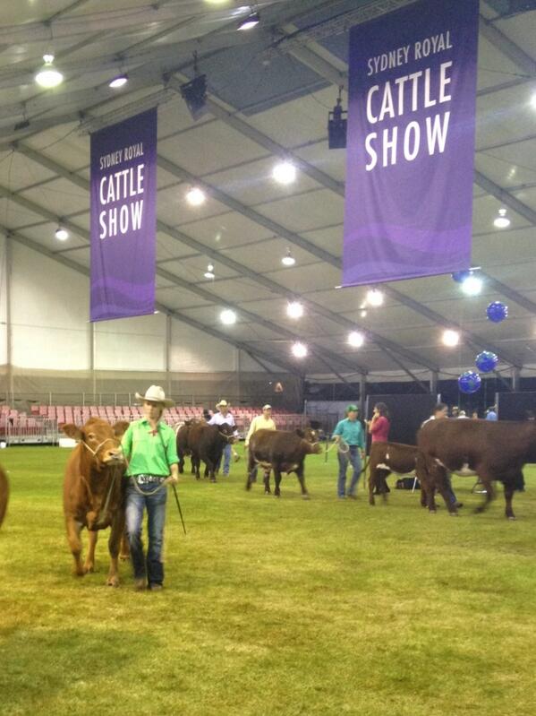 _SarahCumming's tweet image. Royal Easter Cattle Show!! @7NewsSydney #7live
