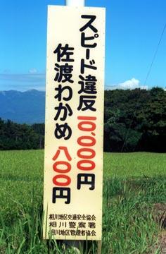 bot30721 tweet picture