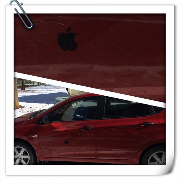 KoshkaMyauka's tweet image. А у нашего двора #imachine, #icar 😃