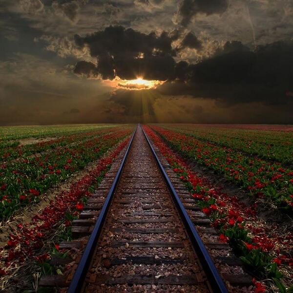 Gabriele_Corno's tweet photo. Horizons by Phil Koch #path #spring #mystic #hope #armony #sunrays #simmetry http://t.co/ngnU7eV60H