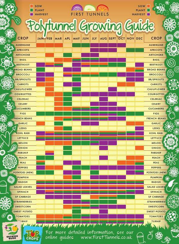 FirstTunnels's tweet image. What to plant, sow &amp;amp; harvest in your #Polytunnel in April #Growingguide #GYO