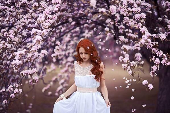 Gabriele_Corno's tweet image. "Pink world" by Alena Root #Sakura #Spring