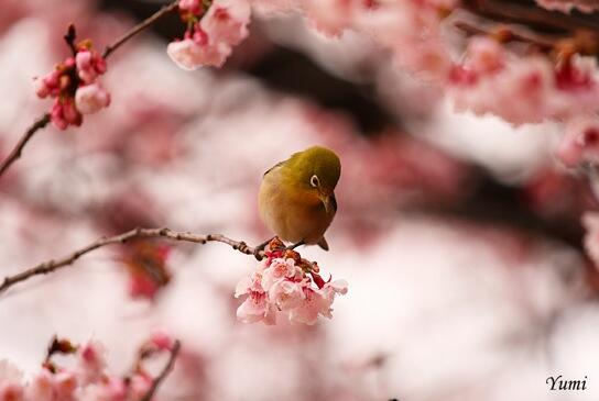 nastja_str's tweet image. @Lobenko90 вечер добрый.