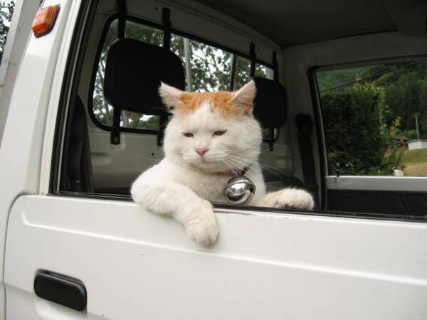 bot30721 tweet picture