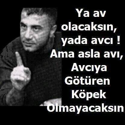 Ahmet Başsavcıoğlu on Twitter: "Ya av olacaksın,Yada Avcı! Ama asla avı  avcıya götüren Köpek olmayacaksın! ABD/İSRAİL uşaklarına gelsin.  #özlüsözler http://t.co/XqAWlK6ZaF" / Twitter