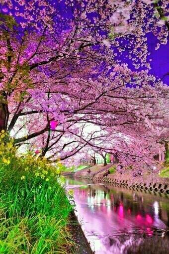 gyeong5579's tweet photo. 황홀해~~~ http://t.co/qup1M4tOWi