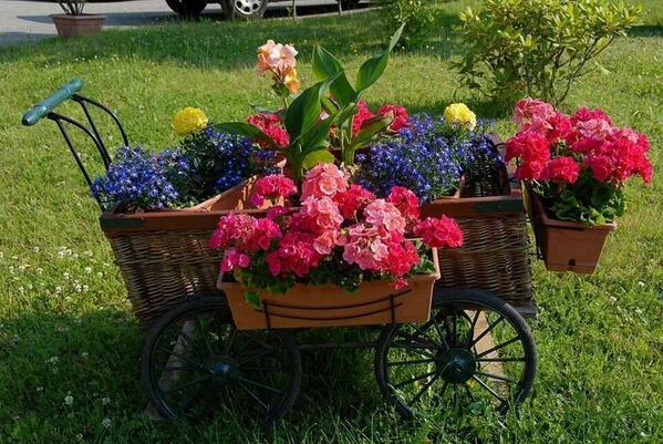 svet987's tweet image. Такую клумбу легко перемещать на газоне )))