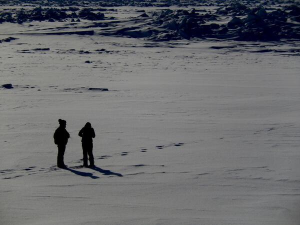 drjoelberger's tweet photo. Examining polar bear tracks on Wrangel I. Read my first blog about the expedition @YaleE360: http://t.co/0HQ6cJ0KSO … http://t.co/Lmzn9D7AtO