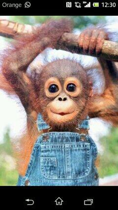 anabelen_2's tweet photo. Como pasa el tiempo.. y cada diaa mas bonitoo! Jajaajjaaja @sebaa_26 http://t.co/HfJfcXxoc9