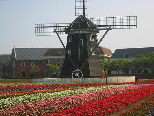 Miplaneta3's tweet image. Holanda!