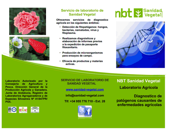 roalvirtu's tweet photo. @Sanidad_Vegetal http://t.co/BZQgYkCbTU