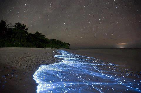 _Paisajes_'s tweet photo. Fenómeno natural,  océano color azul neón, Maldivas http://t.co/BzWbuJuBxm
