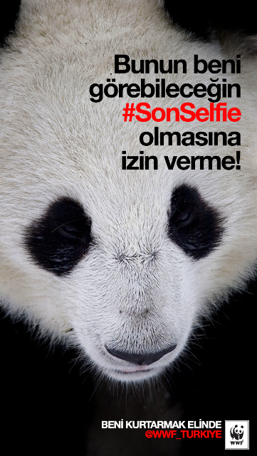 WWF_TURKIYE's tweet photo. PANDA evlat edinerek onları korumak için yürütülen çalışmalara destek olun! http://t.co/ewCLUHTDT1  #sonselfie http://t.co/DZ3vDOz0Kb