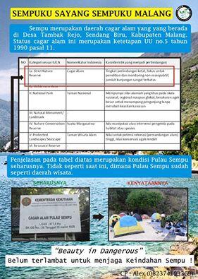 angelia_siagian's tweet image. #savesempu sedikit info ttg sempu @Dive_ID @infofisheries @LabuanBajo_NTT @lnfomalang @Rentalmotor_MLG @EHMalang