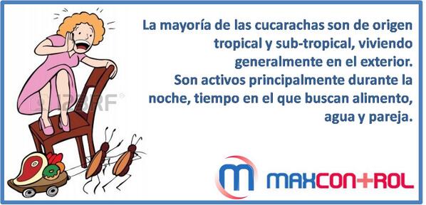maxcontrolmore's tweet image. Con Max Control de Plagas ... OLVIDESE DE LAS PLAGAS