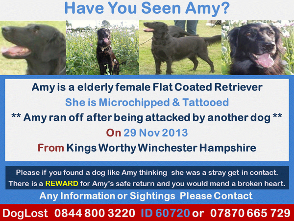 Help Find Poppy tweet media