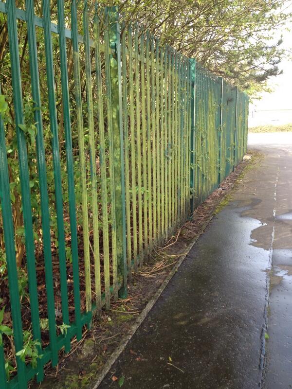 CS_Maintenance's tweet image. Today's before....