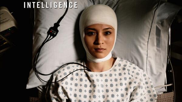 Intelligence  tweet media