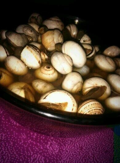 Beatriz_gbm's tweet photo. Caracolitos!! Con rebujito. La feria ya ta aqui!! #preferia http://t.co/CkvXz9HDgz
