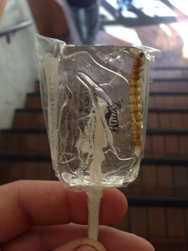 TMill_35's tweet photo. The bug I ate that was in my sucker http://t.co/hlYualnp7Q