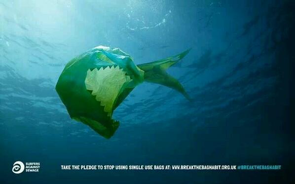 Outdoor Pool tweet media