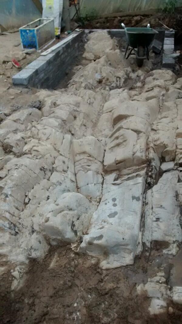 creativetimber's tweet image. Got a few more blocks laid for my temperate_tropical ponds with windows this evening,starting to take a bit of shape.