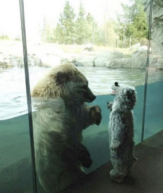 Nuaaarh 🐻😍